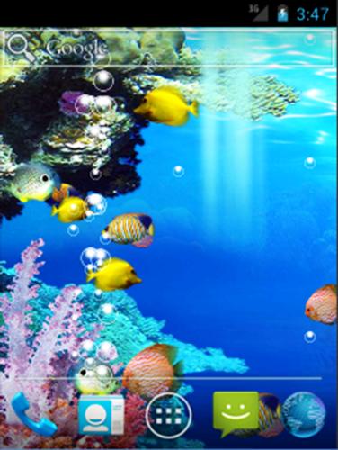 Live Oceans