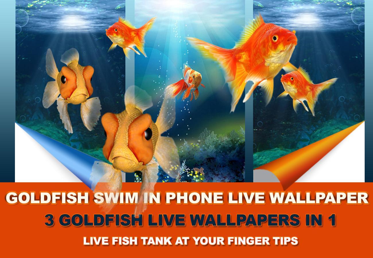 Goldfish Swim In Phone LWP