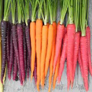 Low Cholesterol Recipes