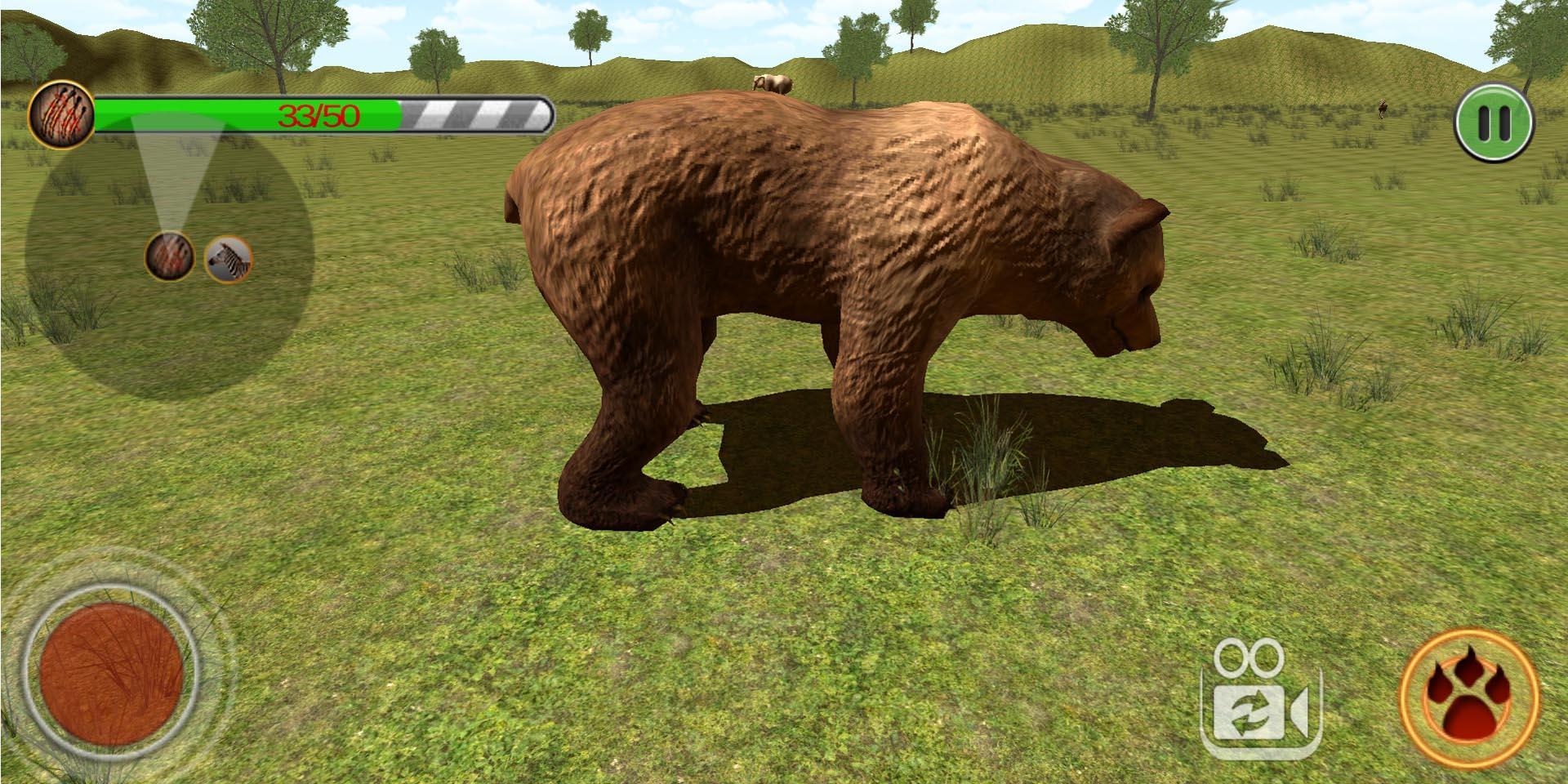 bear hunting