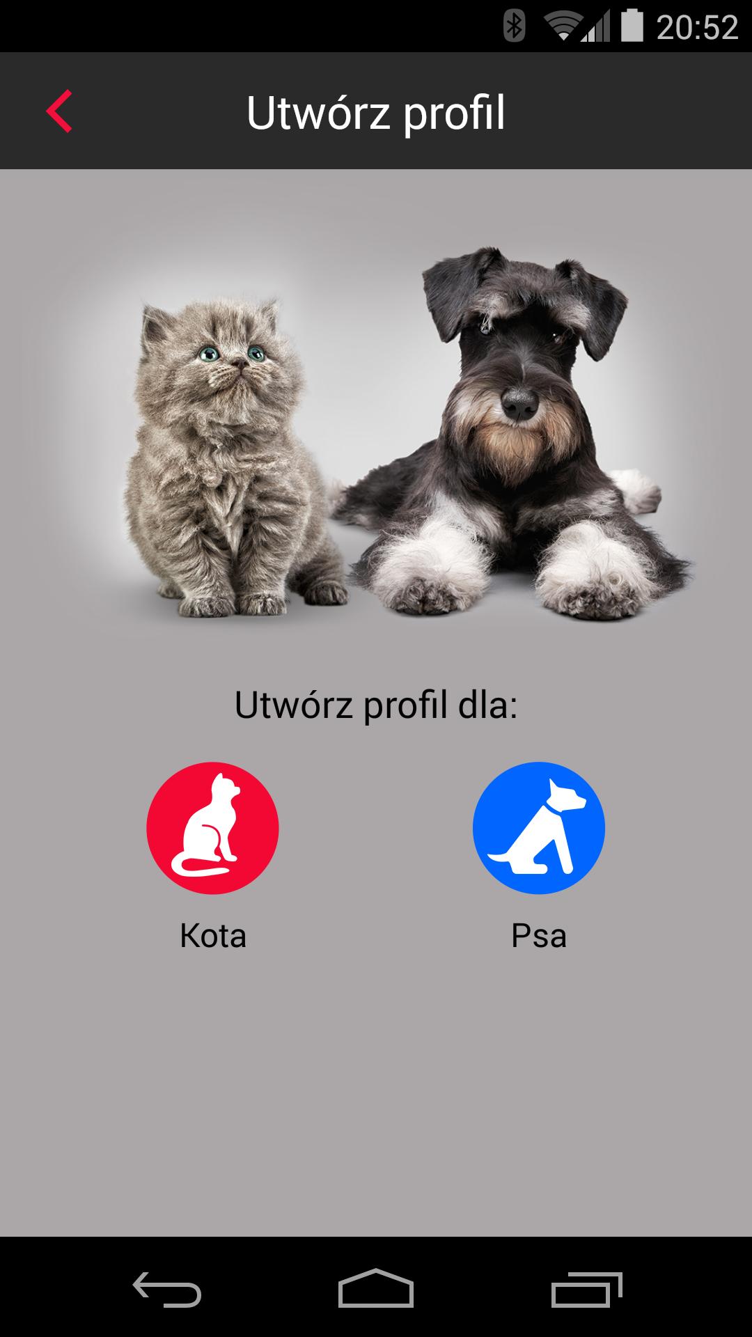 Modern Pet