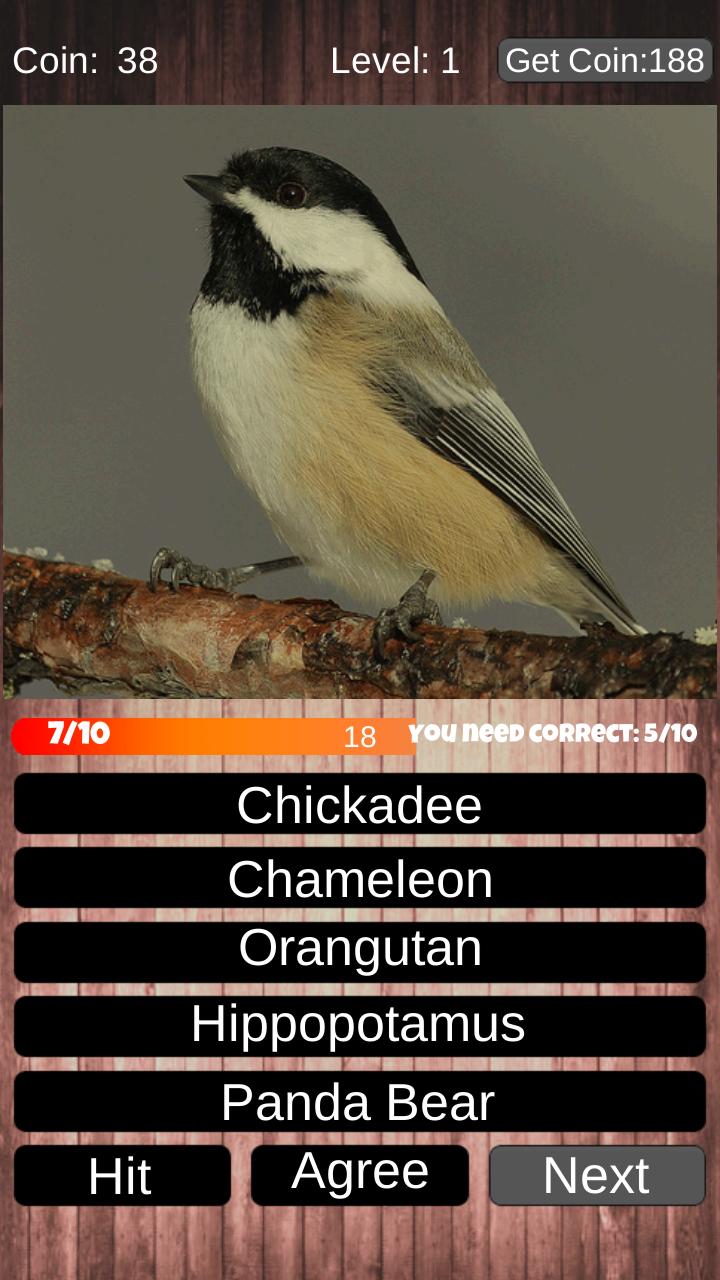 Animal Quiz DC