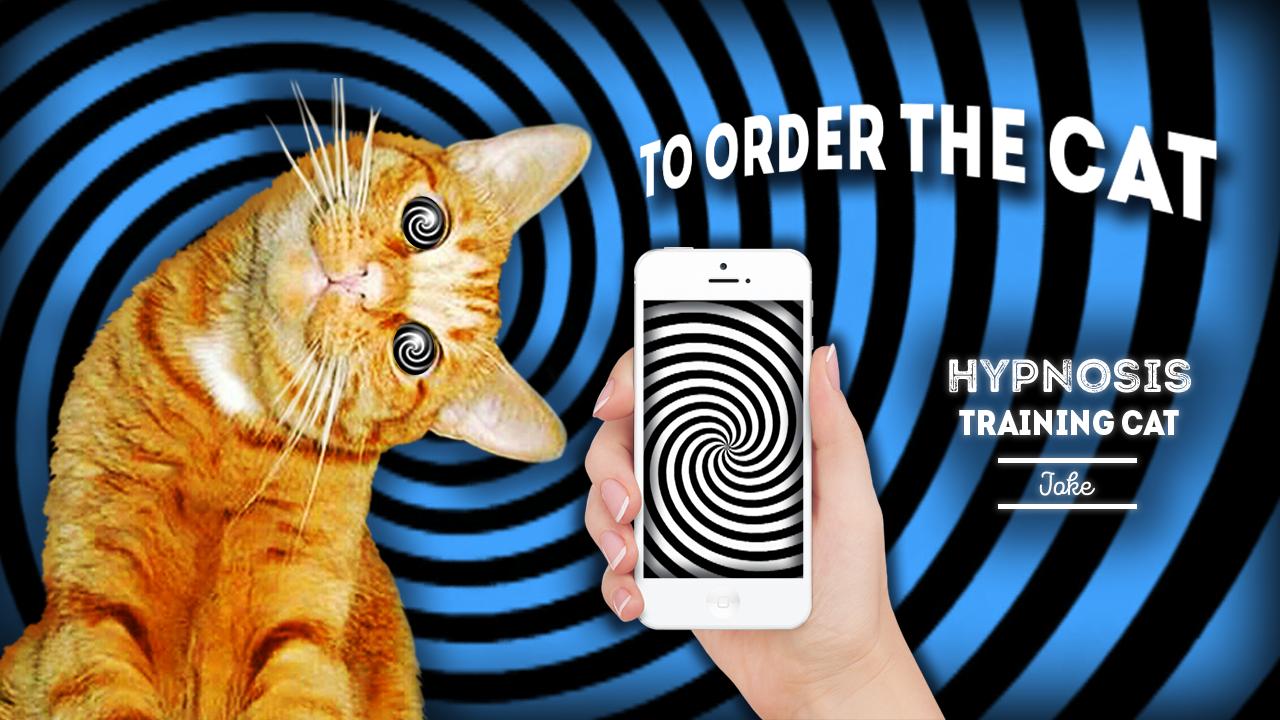 Hypnosis: training cat joke