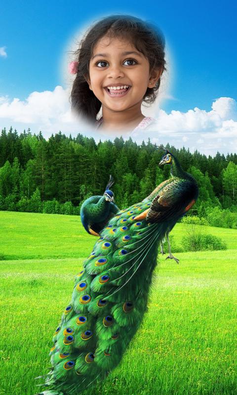 Peacock Photo Frames HD